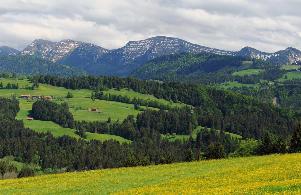 sommer_hochgrath.jpg